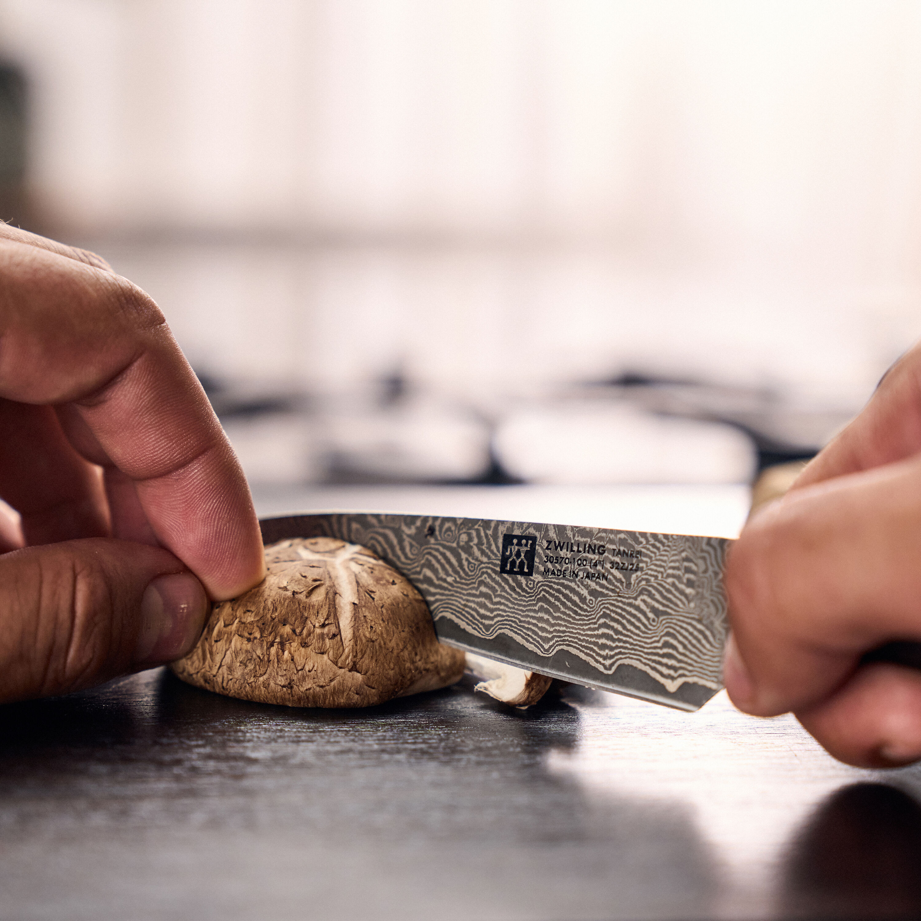 ZWILLING        Tanrei                Spick & Garniermesser 10 cm