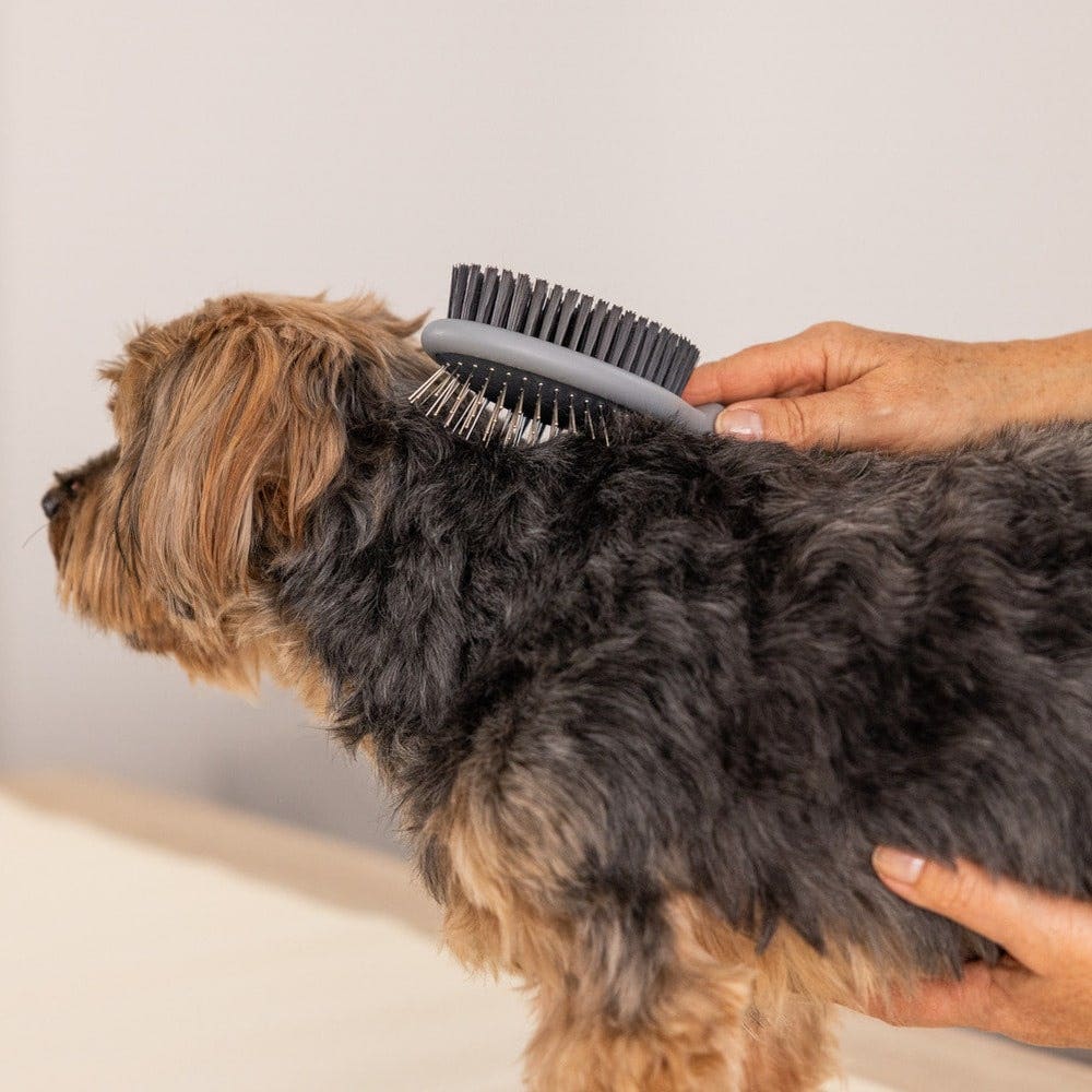 Two-sided Brush