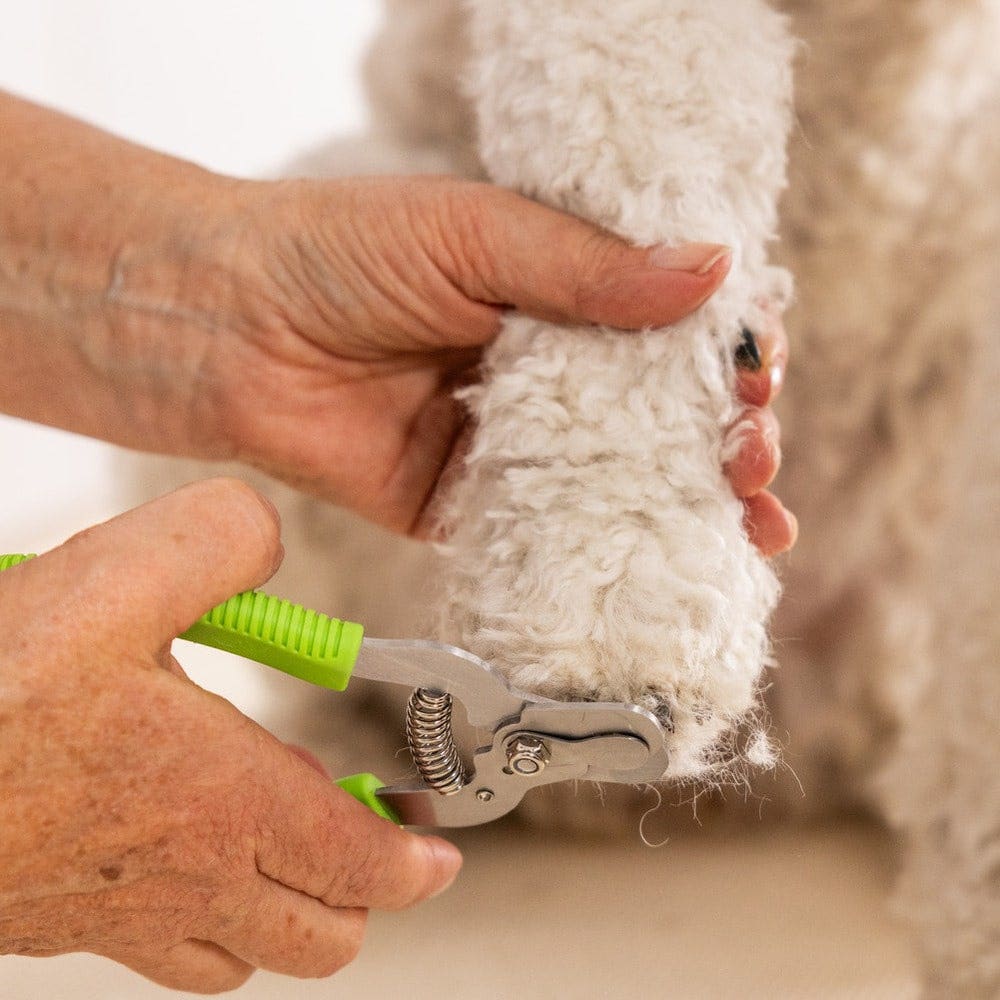 Nail Clipper