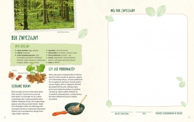 Mój pierwszy zielnik Zbieram kwiaty. liście i trawy