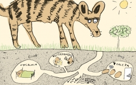 Kupa. Przyrodnicza wycieczka na stronę