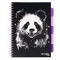 Kołozeszyt Strigo Pads Project Book A4 atka - Panda