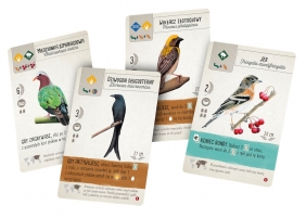 Na szydłach: Ptaki Azji