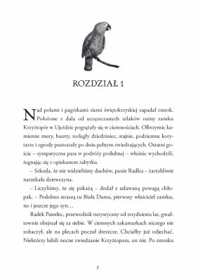 Tunel w zaświaty Wakacje z Koszmarkiem. Tom 3