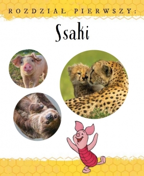 Moja pierwsza encyklopedia Zwierzęta. Disney