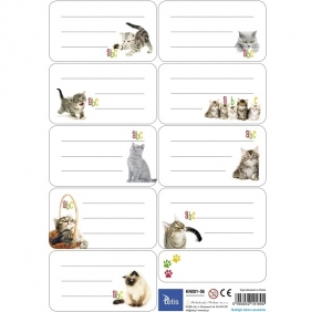 Naklejki na zeszyty Tetis - zestaw 06 (KN001-06)