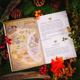 Zielobór. Czy zdołasz uratować miasto? Ekologiczna powieść paragrafowa