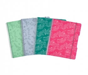 Kołozeszyt Eco PP Colors A4/80k atka. 1 szt