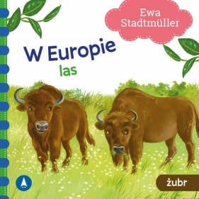 W Europie Las. Żubr