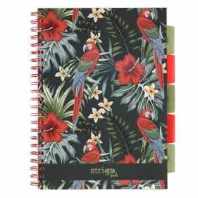 Kołozeszyt Strigo Pads Project Book A4 atka Tropiki - Papuga