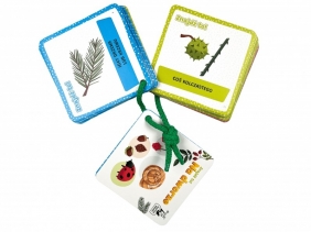 Znajdź to! Na dworze