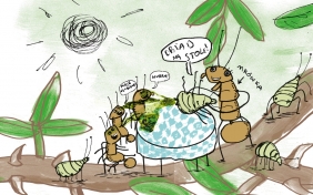 Kupa. Przyrodnicza wycieczka na stronę