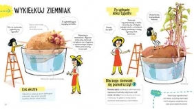Akademia mądrego dziecka Przygody z nauką. Ziemniak