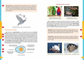 Nowe Repetytorium - szkoła podstawowa. Biologia - 2024-2026