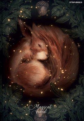 Brulion Top 2000: A5. 96k - Forest/Ice atka