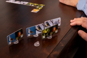 Silver - Domino - Ptaki