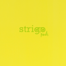 Kołozeszyt Strigo Pads Project Book B5 atka Neon - Żółty