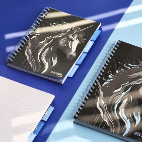 Kołozeszyt Strigo Pads Project Book B5 atka - Unicorn