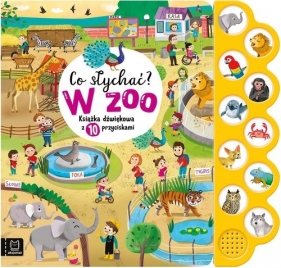 Książki dla dzieci-książki dźwiękowe