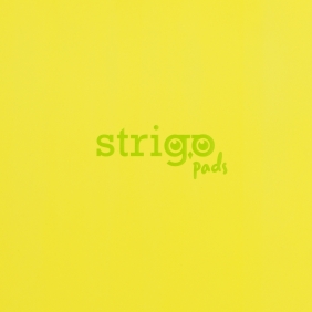 Kołozeszyt Strigo Pads Project Book A4 atka Neon - Żółty