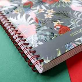 Kołozeszyt Strigo Pads Project Book A4 atka Tropiki - Papuga