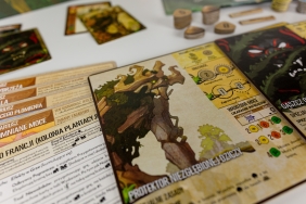 Spirit Island: Zarośla i Szpony (rozszerzenie)