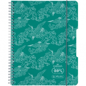 Kołozeszyt Eco PP Colors A4/80k atka. 1 szt