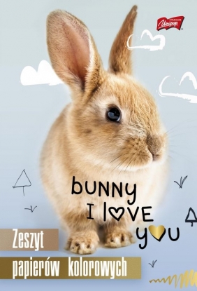 Zeszyt papierów kolorowych A5 10 kartek. UNIPAP