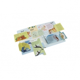 Podnieś klapkę. Kocham dzikie zwierzęta