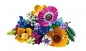 LEGO Icons 10313. Bukiet z polnych kwiatów