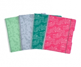 Kołozeszyt Herlitz Eco PP Colors A5/80k atka. 1 szt