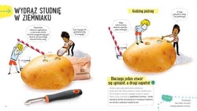 Akademia mądrego dziecka Przygody z nauką. Ziemniak