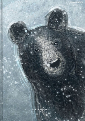 Brulion Top 2000: A5. 96k - Forest/Ice atka