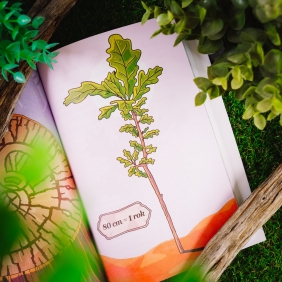 Zielobór. Czy zdołasz uratować miasto? Ekologiczna powieść paragrafowa