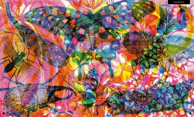 Gabinet owadów (i innych małych stworzeń)