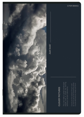 Zeszyt Top 2000 Bird's Eye A5/80k atka z marginesem. 1 szt