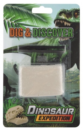 Wykopaliska. skamieniałości dinozaurów