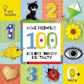 Moje pierwsze 100 słów Kolory. numery. kształty