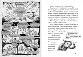 Ale historia.. Skąd te zywe usta. Bolesławie?