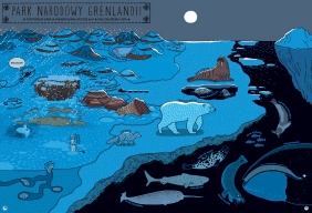 Którędy do Yellowstone? Dzika podróż po parkach narodowych