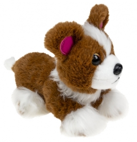 Lumo Bordercollie Bailey Classic (puppies)