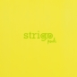 Kołozeszyt Strigo Pads Project Book A4 atka Neon - Żółty