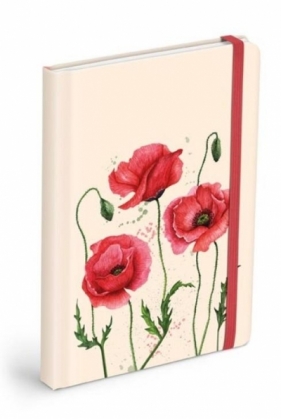 Brulion z gumką 120K gładki