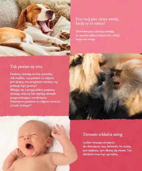 Moja pierwsza encyklopedia Zwierzęta. Disney