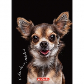 Brulion Crazy Animal A6/80k atka. 1 szt