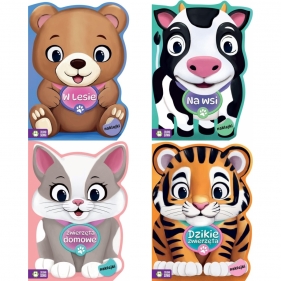 Pakiet 4 książek z serii Na tropie kolorów