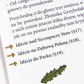 Zielobór. Czy zdołasz uratować miasto? Ekologiczna powieść paragrafowa