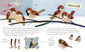 Mały atlas ptaków Ewy i Pawła Pawlaków