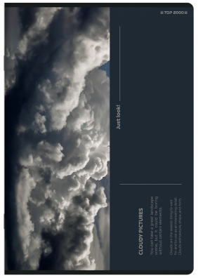 Zeszyt Top 2000 Bird's Eye A5/60k linia z marginesem. 1 szt