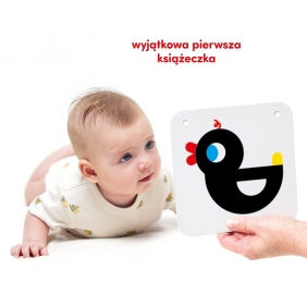 CzuCzu Duże karty kontrastowe (0 mies.+. 3 mies.+)